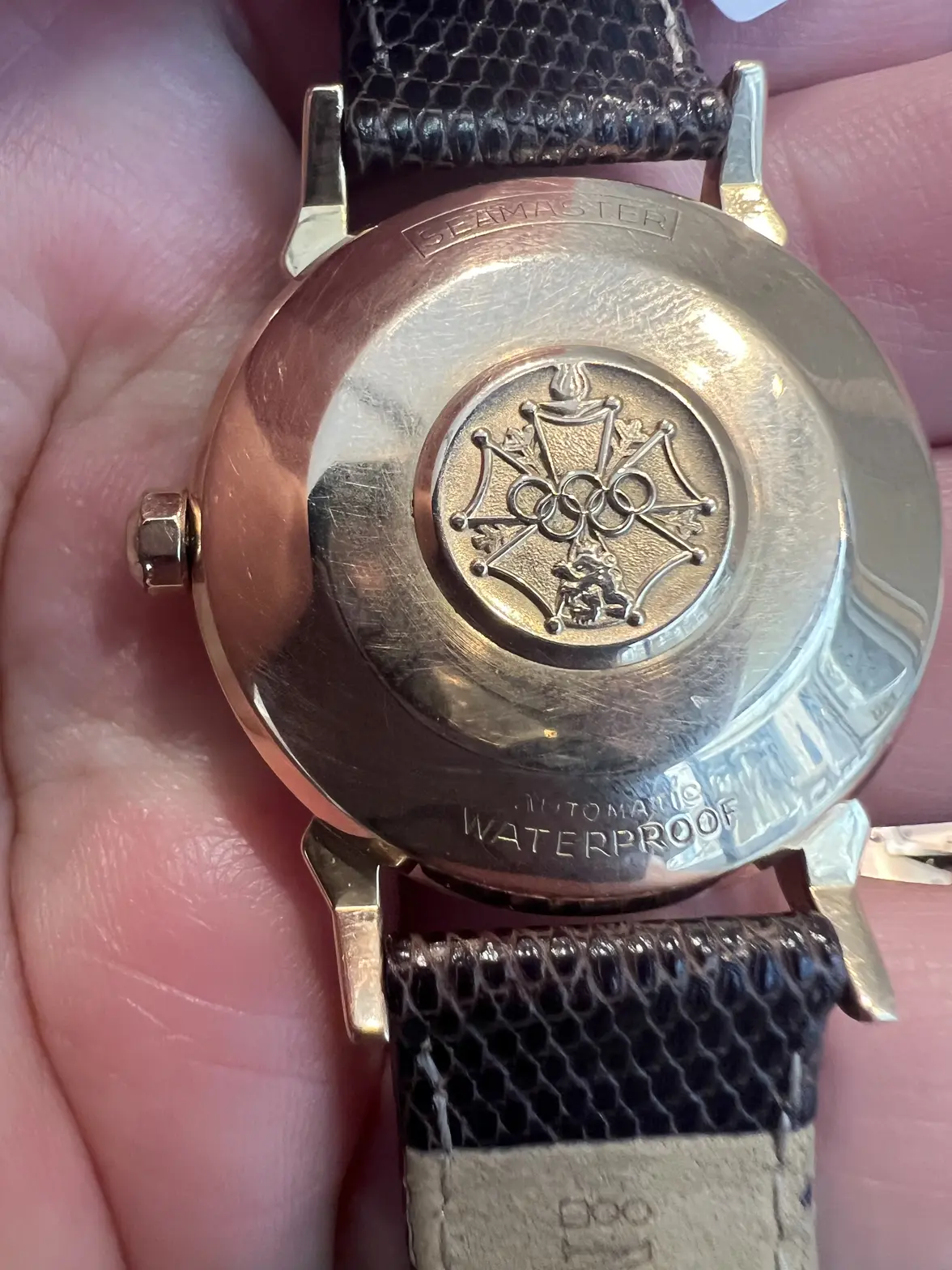 IMG_3109.webp IMG_3109.webp