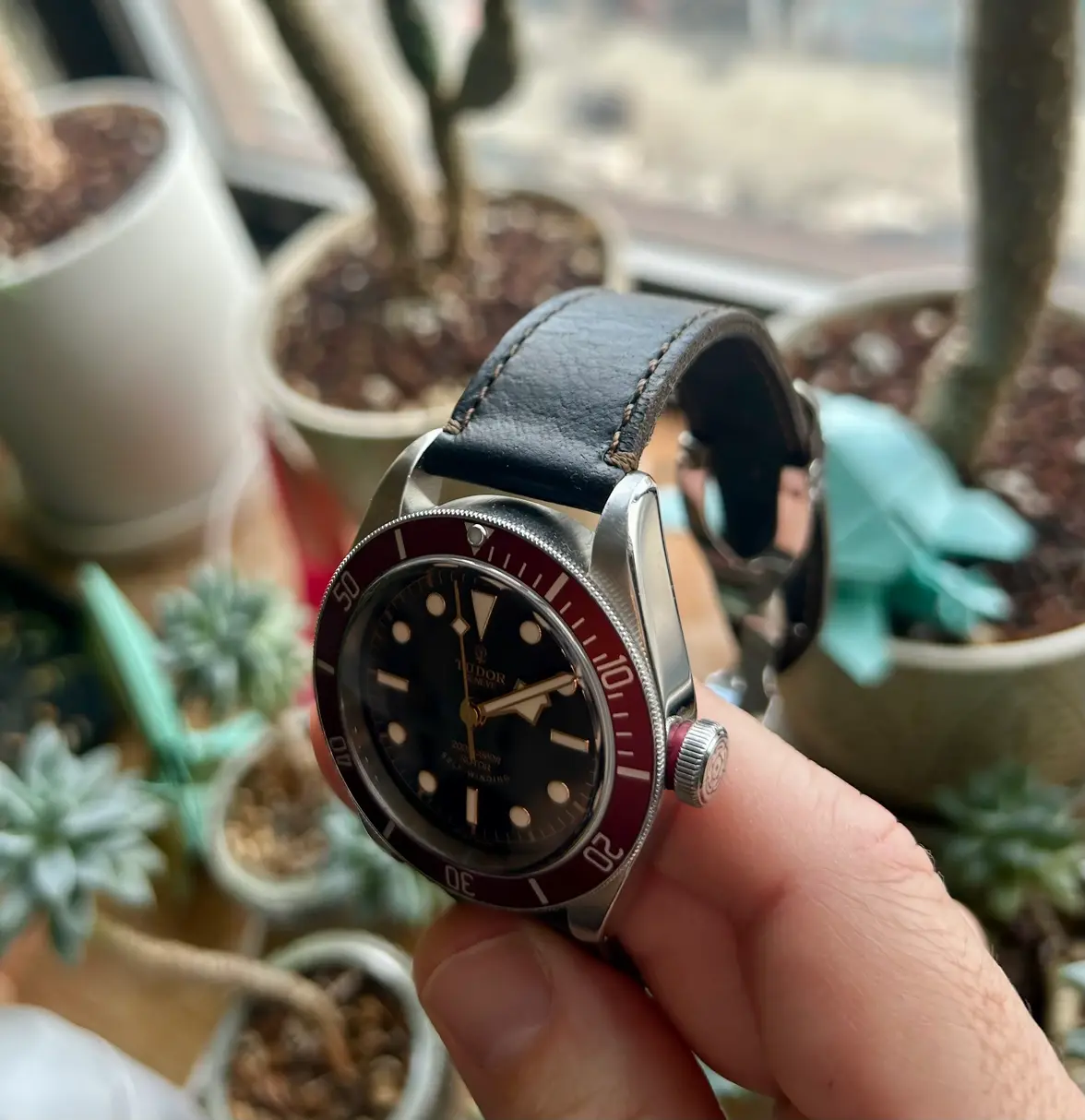 IMG_3659.webp IMG_3659.webp