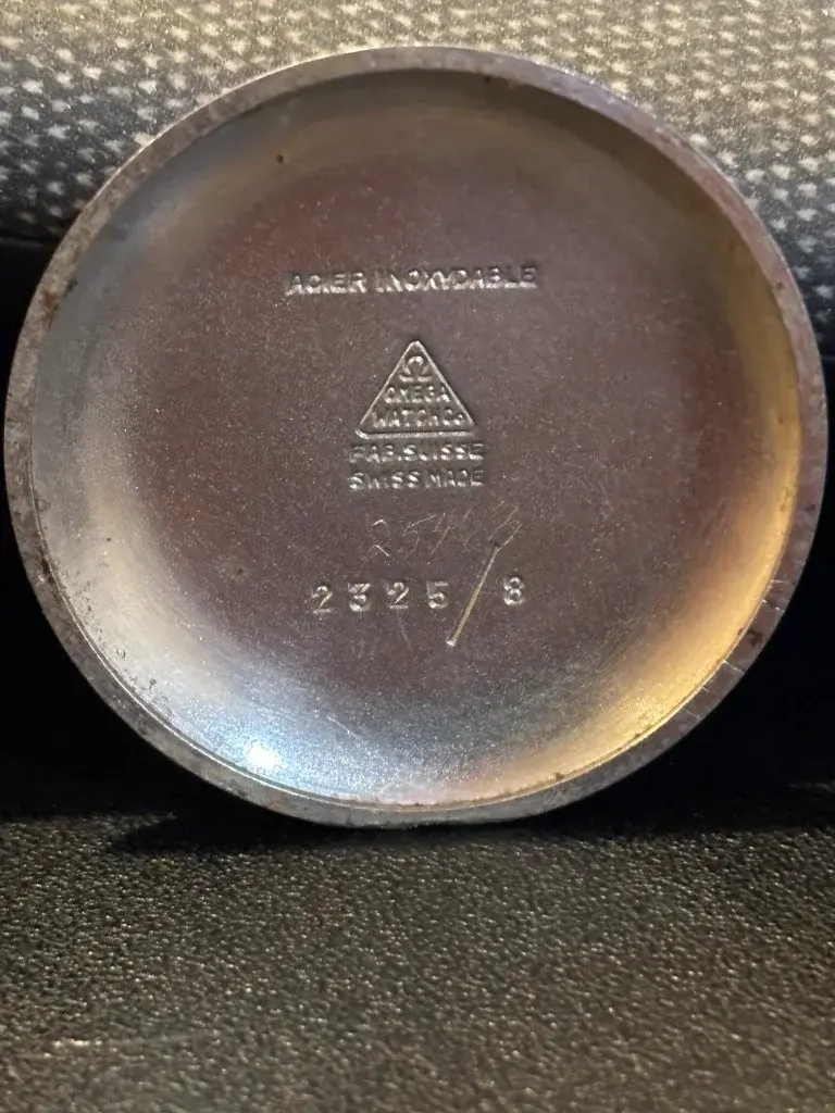 IMG_1237 (Medium).webp