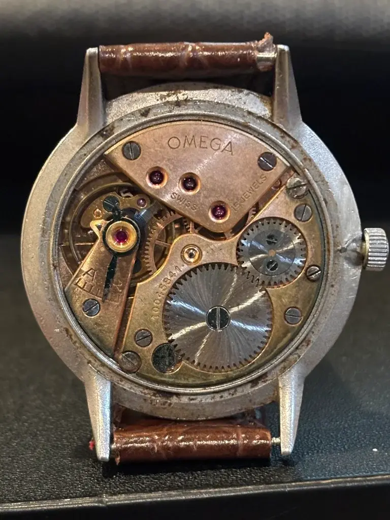 IMG_1238 (Medium).webp