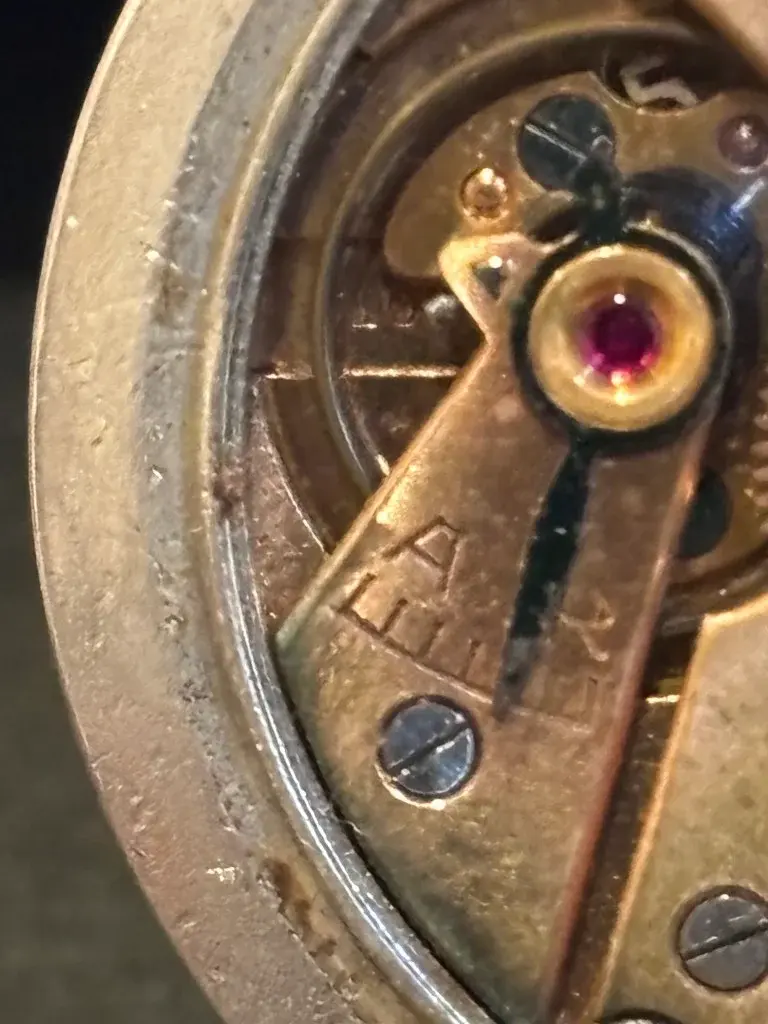 IMG_1239 (Medium).webp