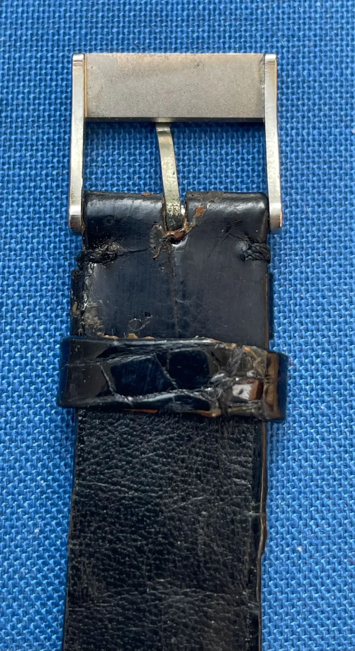 L Band 4.webp L Band 4.webp