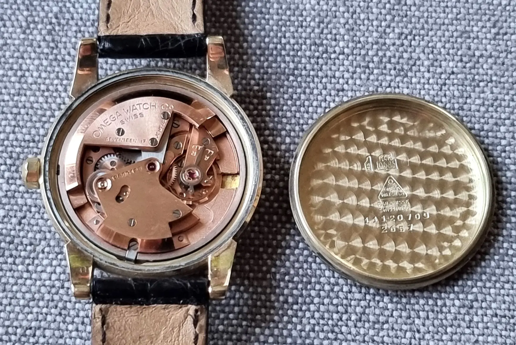 20260304_174255.webp 20260304_174255.webp