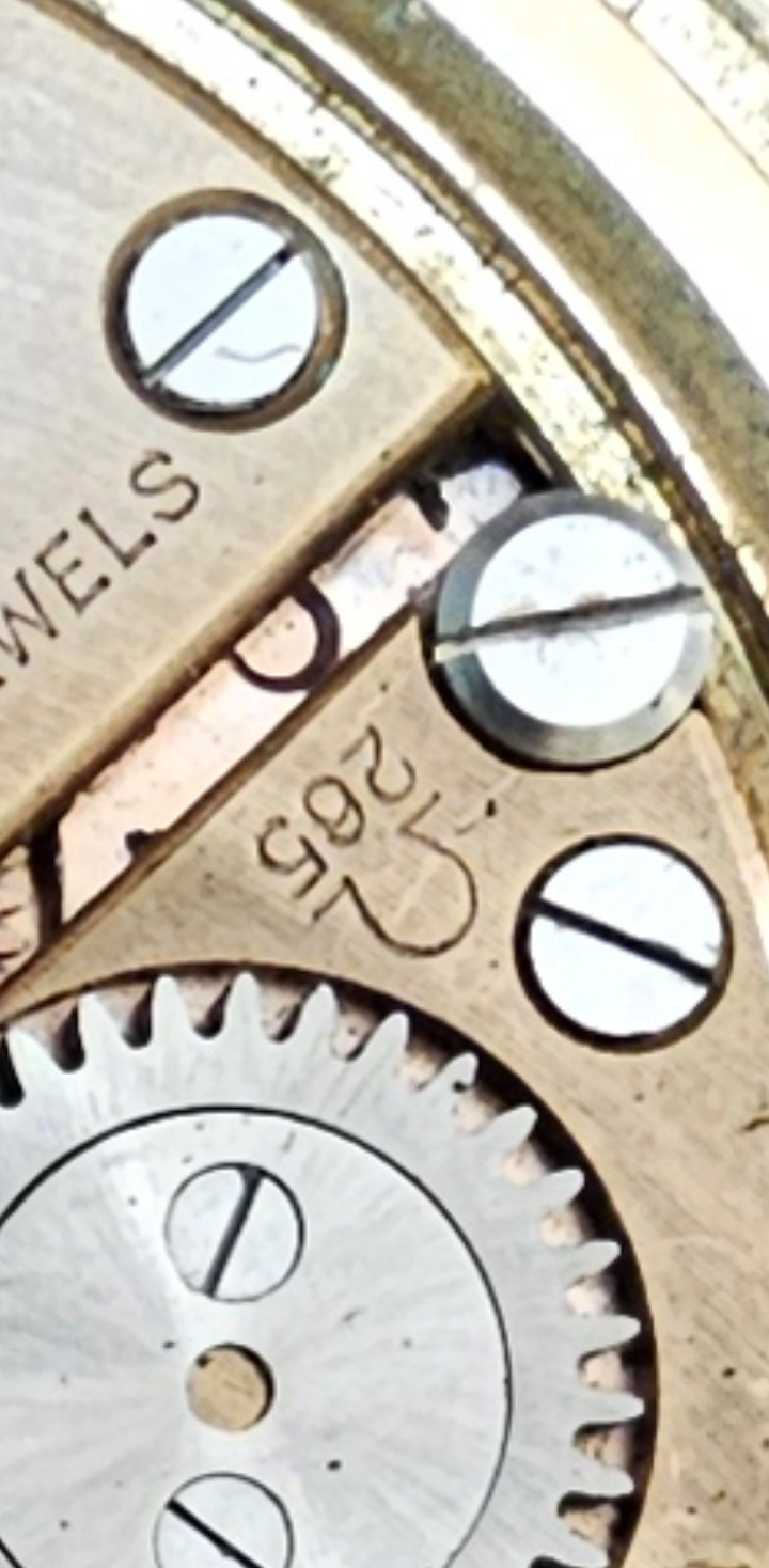 Screenshot_20260303_200742_Gallery.webp Screenshot_20260303_200742_Gallery.webp