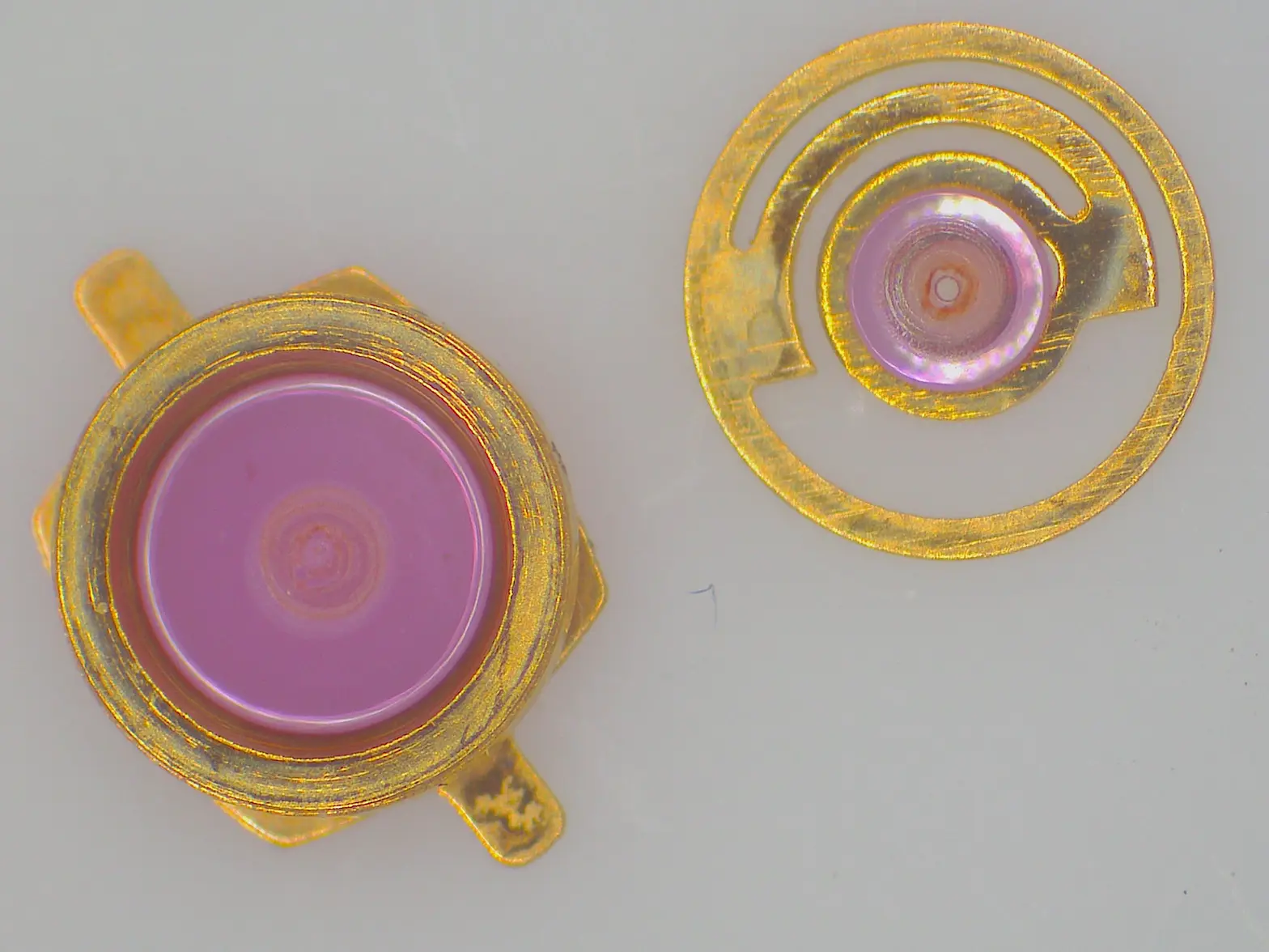 Citizen Shock Jewels.webp Citizen Shock Jewels.webp