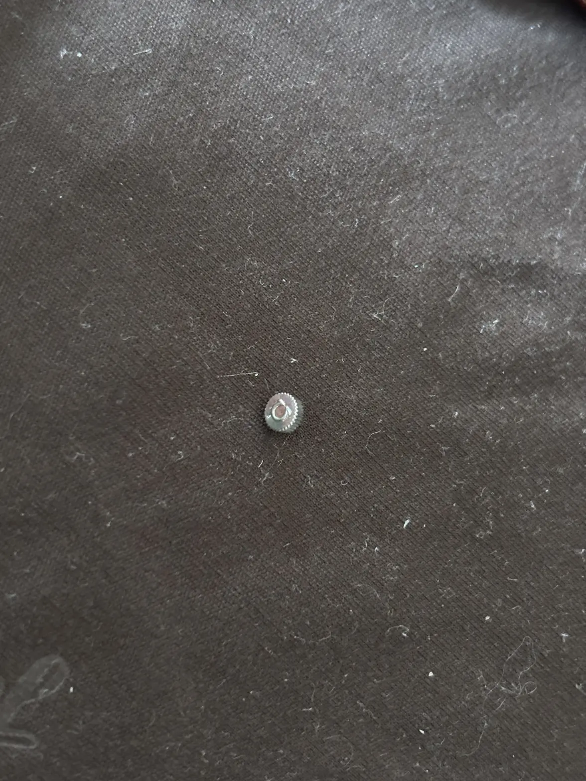 IMG_5172.webp IMG_5172.webp