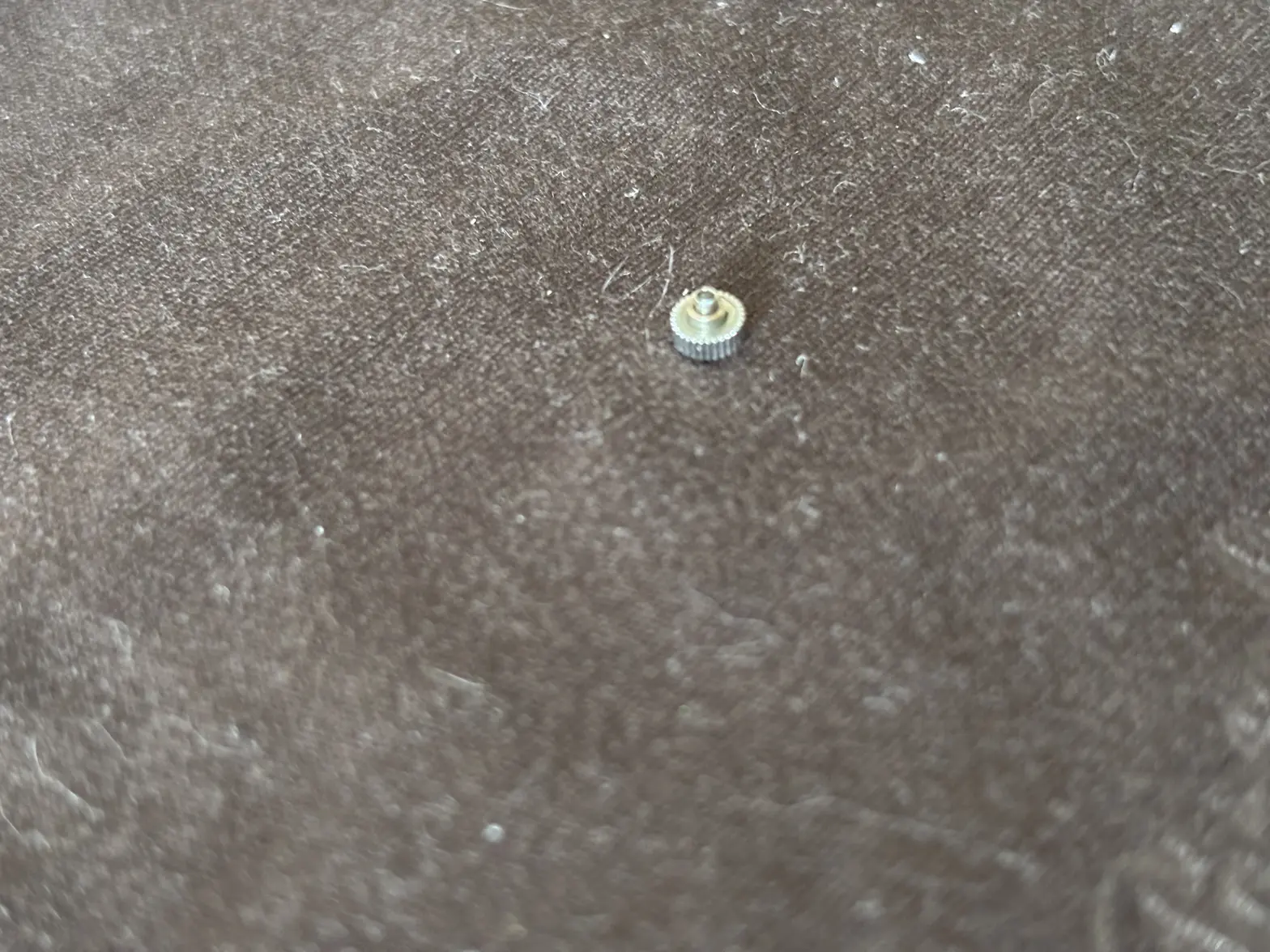 IMG_5174.webp IMG_5174.webp