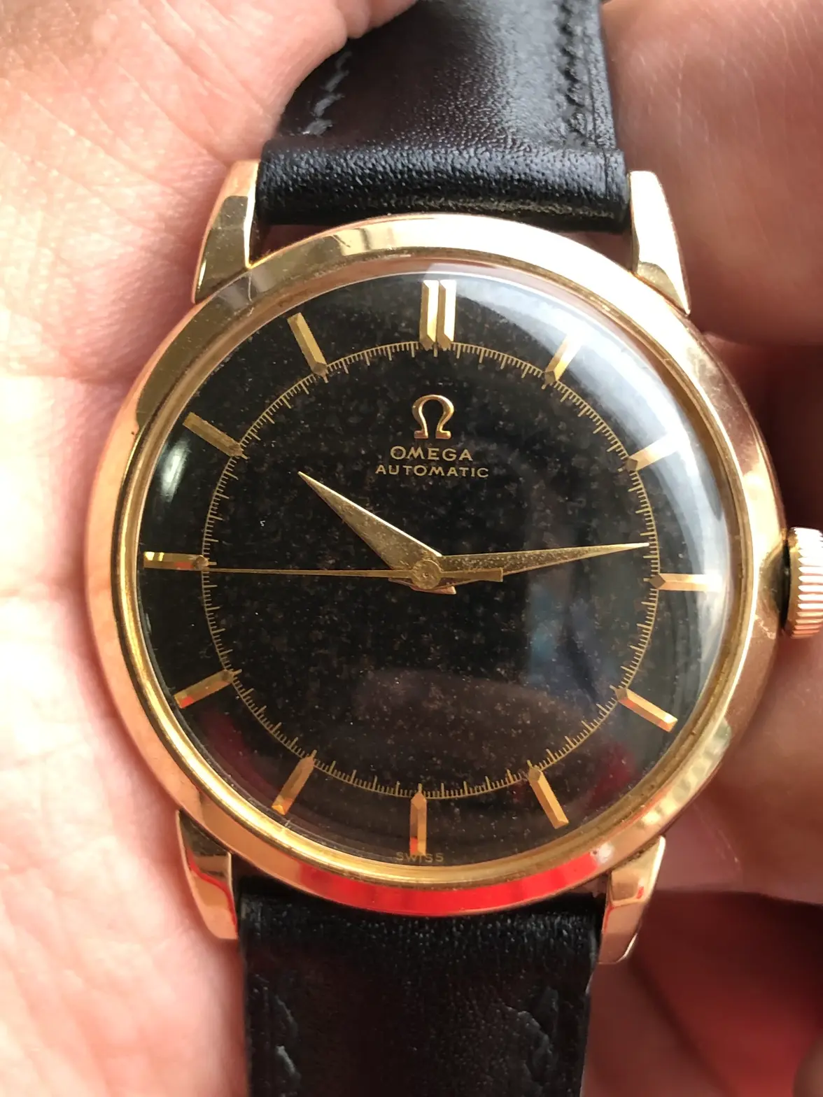 IMG_0946.webp IMG_0946.webp