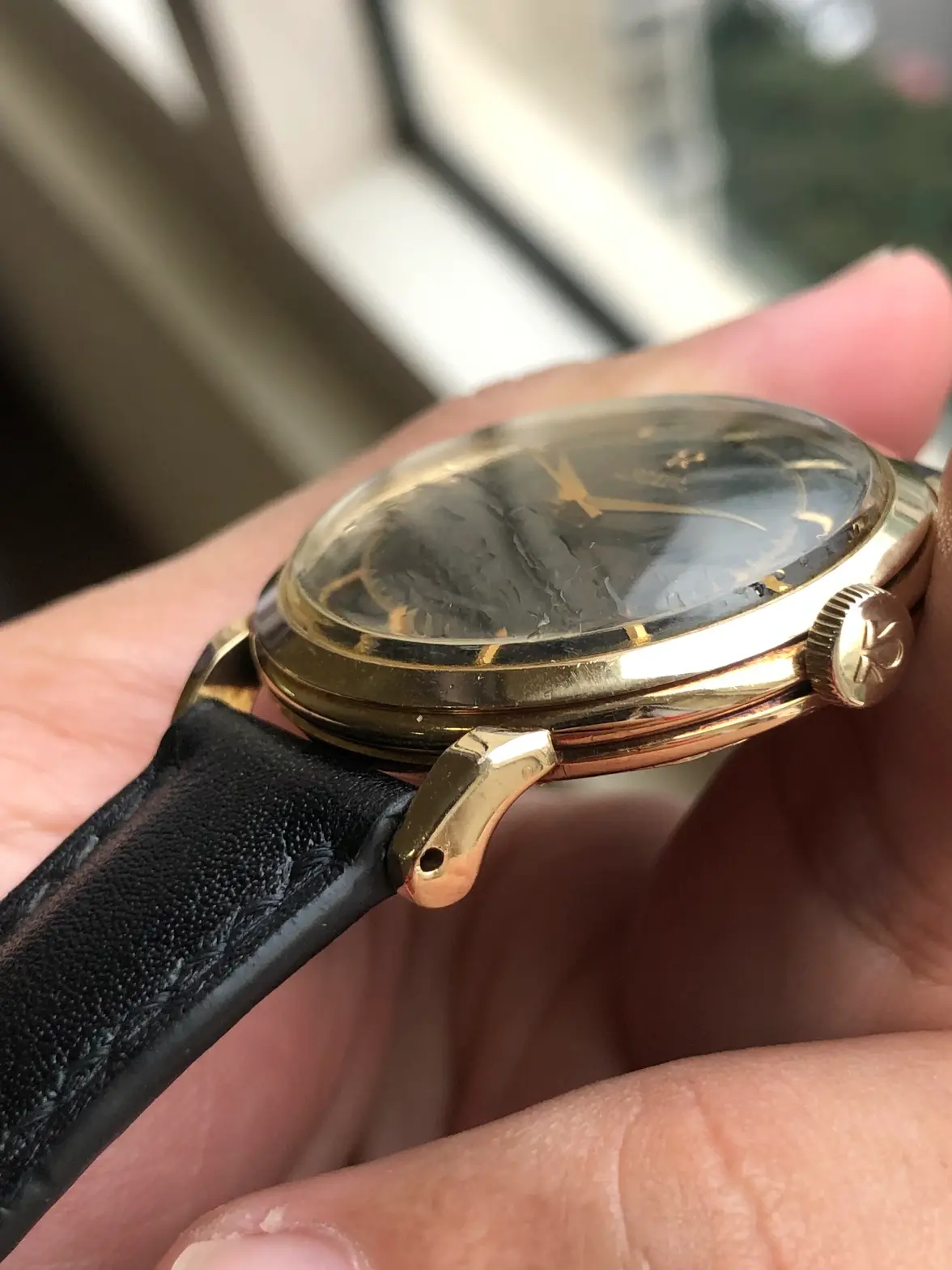 IMG_0939.webp IMG_0939.webp