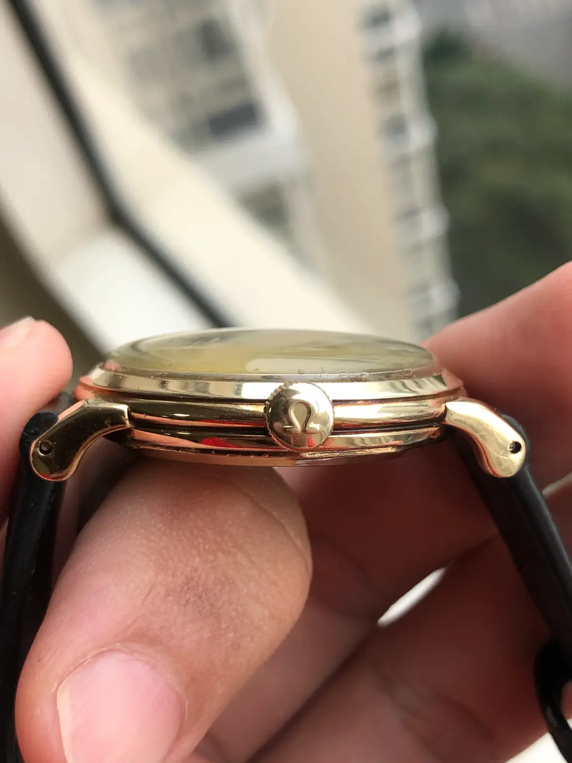 IMG_0940.webp IMG_0940.webp