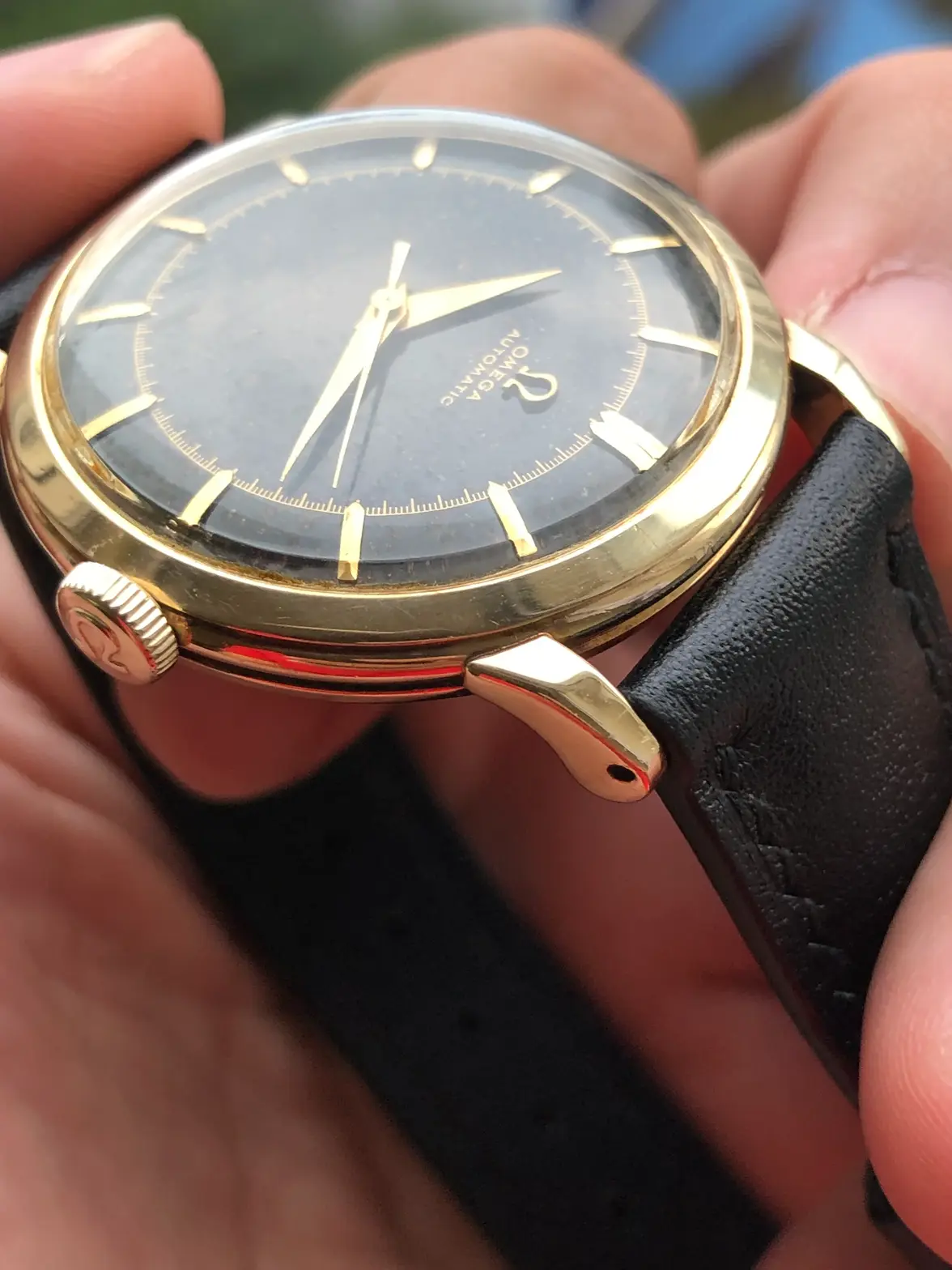 IMG_0941.webp IMG_0941.webp