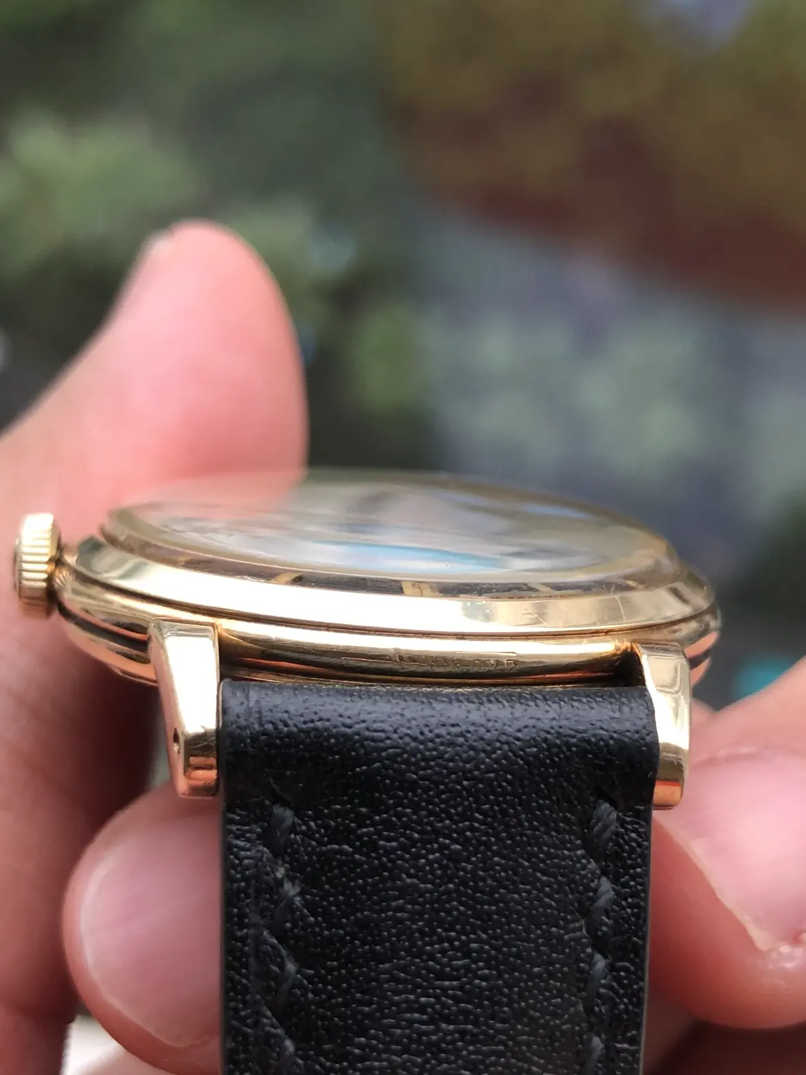 IMG_0942.webp IMG_0942.webp