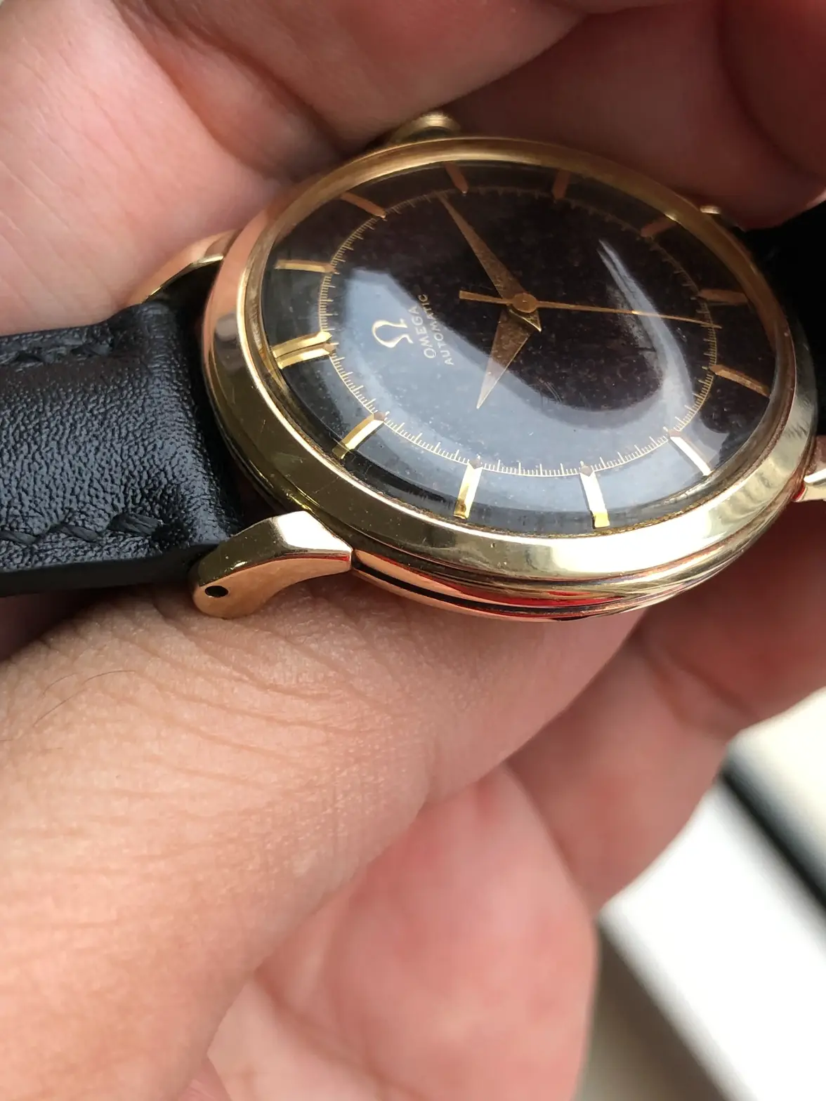 IMG_0943.webp IMG_0943.webp