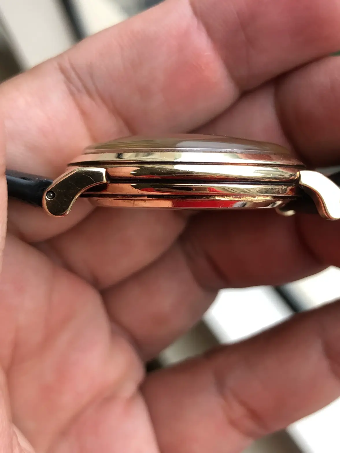 IMG_0944.webp IMG_0944.webp