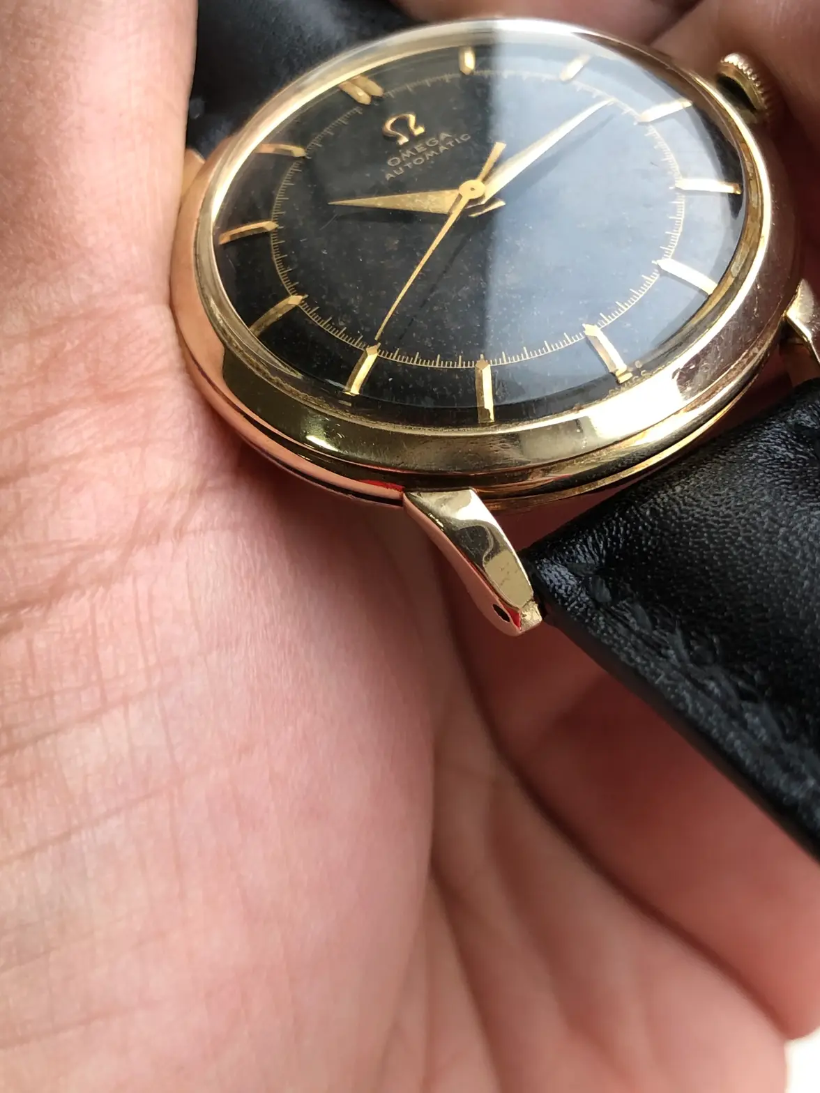 IMG_0945.webp IMG_0945.webp