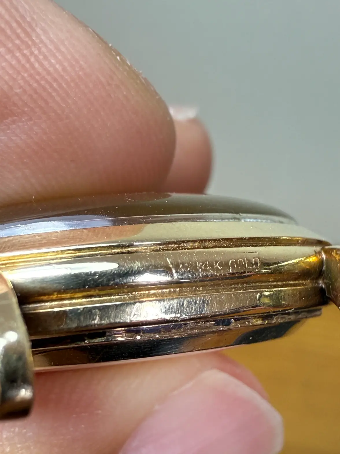 IMG_5300.webp IMG_5300.webp