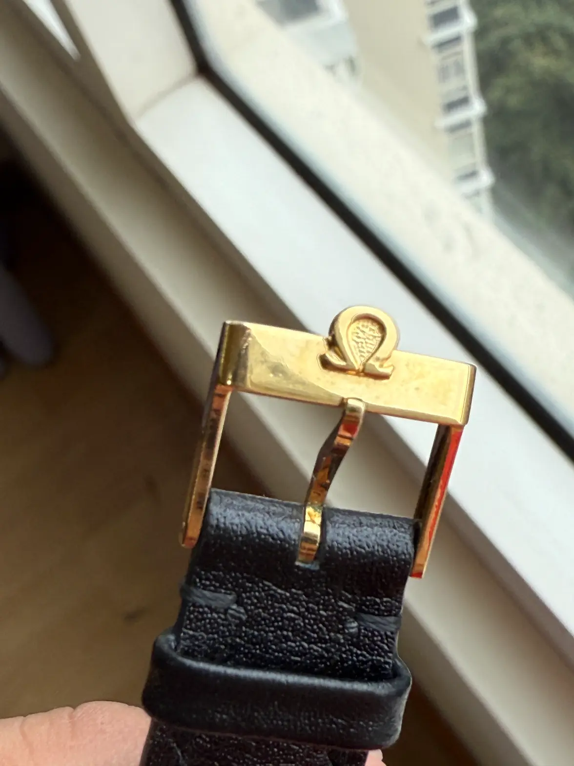 IMG_6073.webp IMG_6073.webp