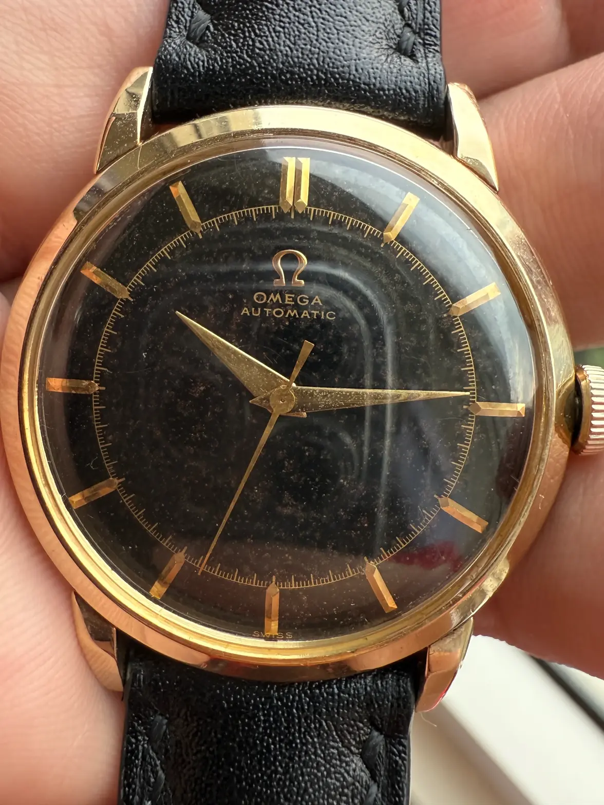 IMG_6067.webp IMG_6067.webp