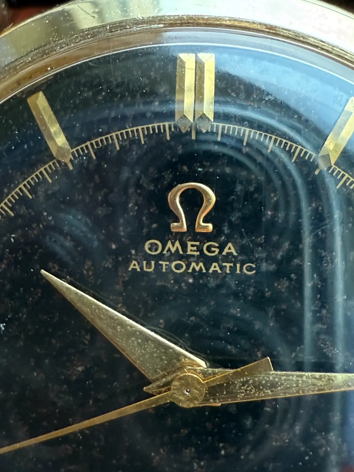 IMG_6068.webp IMG_6068.webp