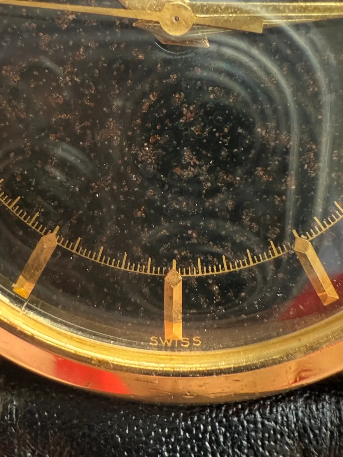 IMG_6069.webp IMG_6069.webp