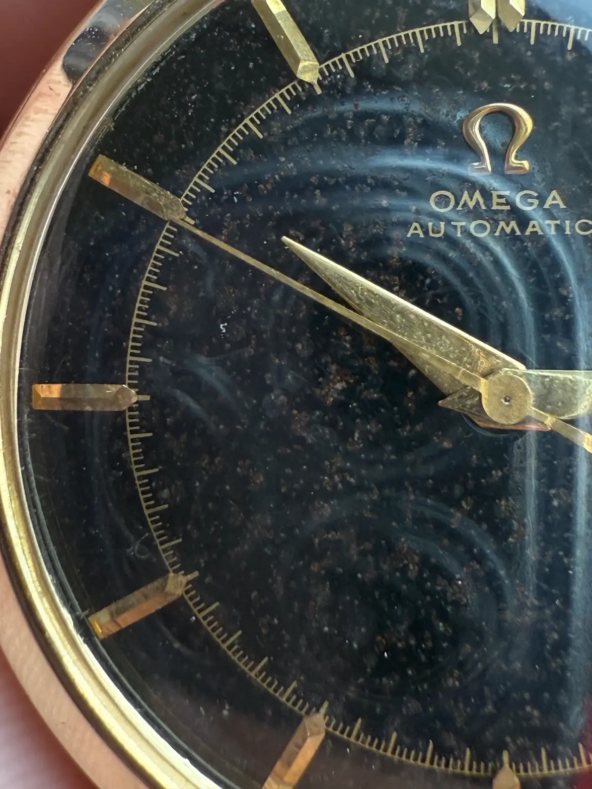 IMG_6070.webp IMG_6070.webp