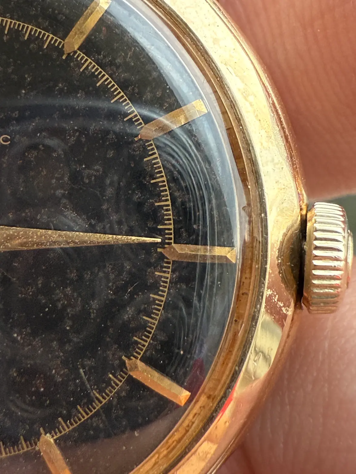 IMG_6071.webp IMG_6071.webp