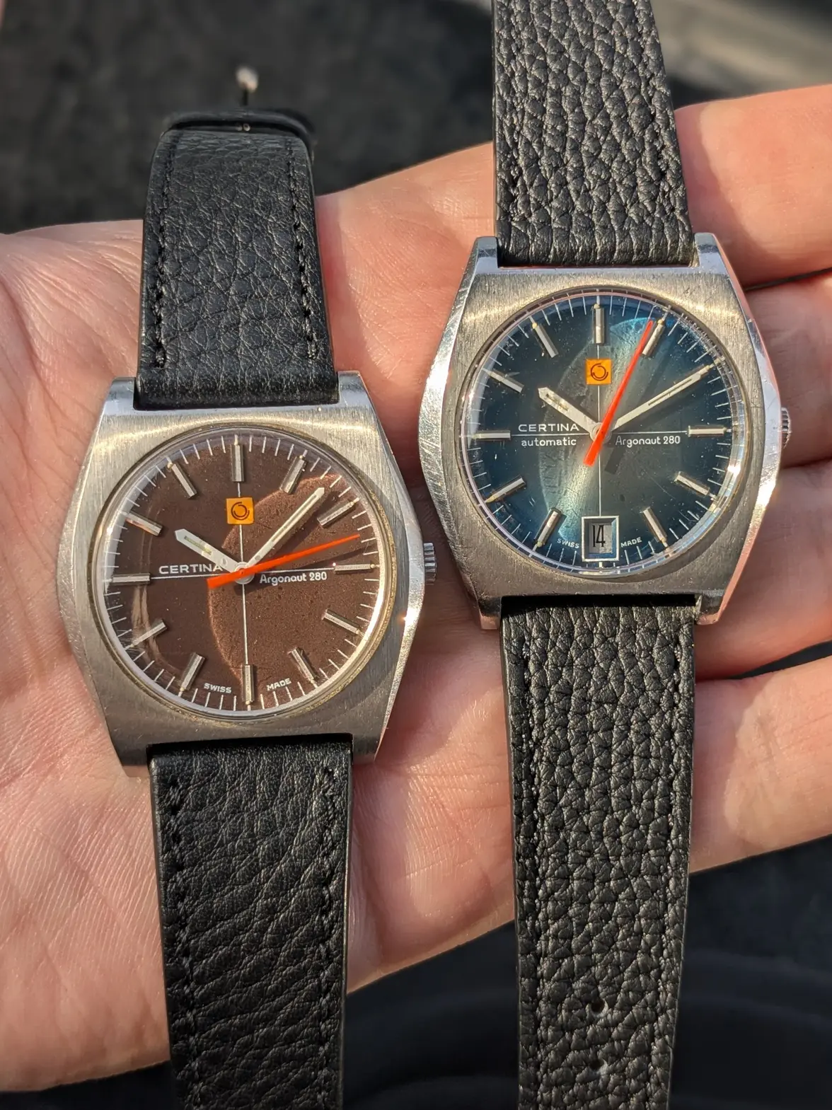 certinaargonaut (1).webp