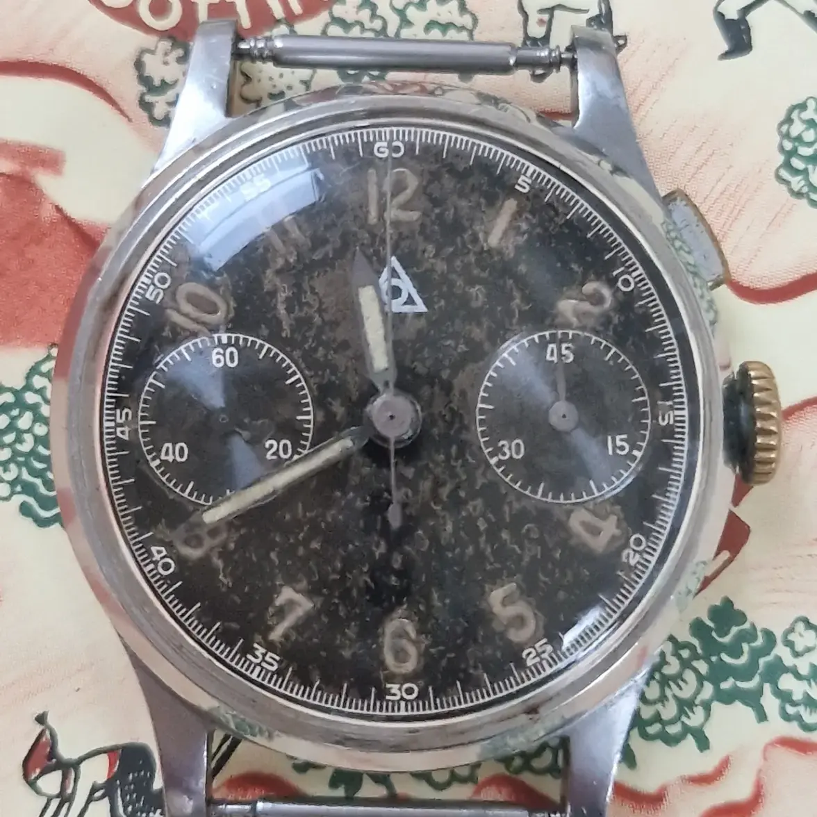 IMG_20231003_175216_759.webp IMG_20231003_175216_759.webp