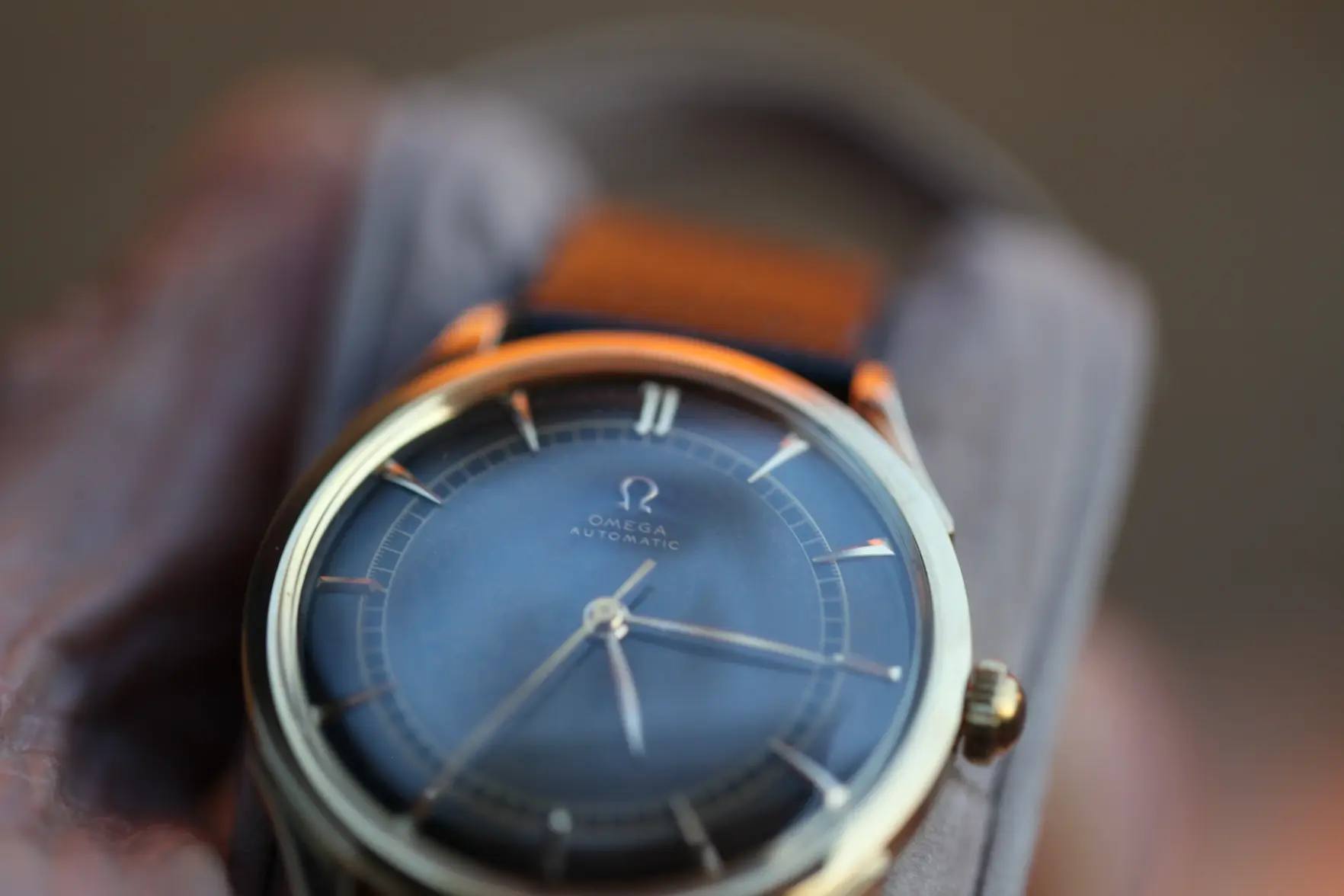 IMG_8346.webp IMG_8346.webp