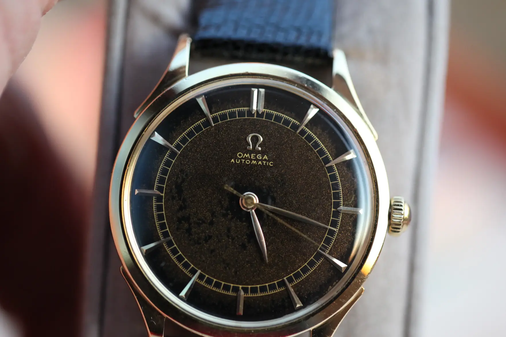 IMG_8358.webp IMG_8358.webp