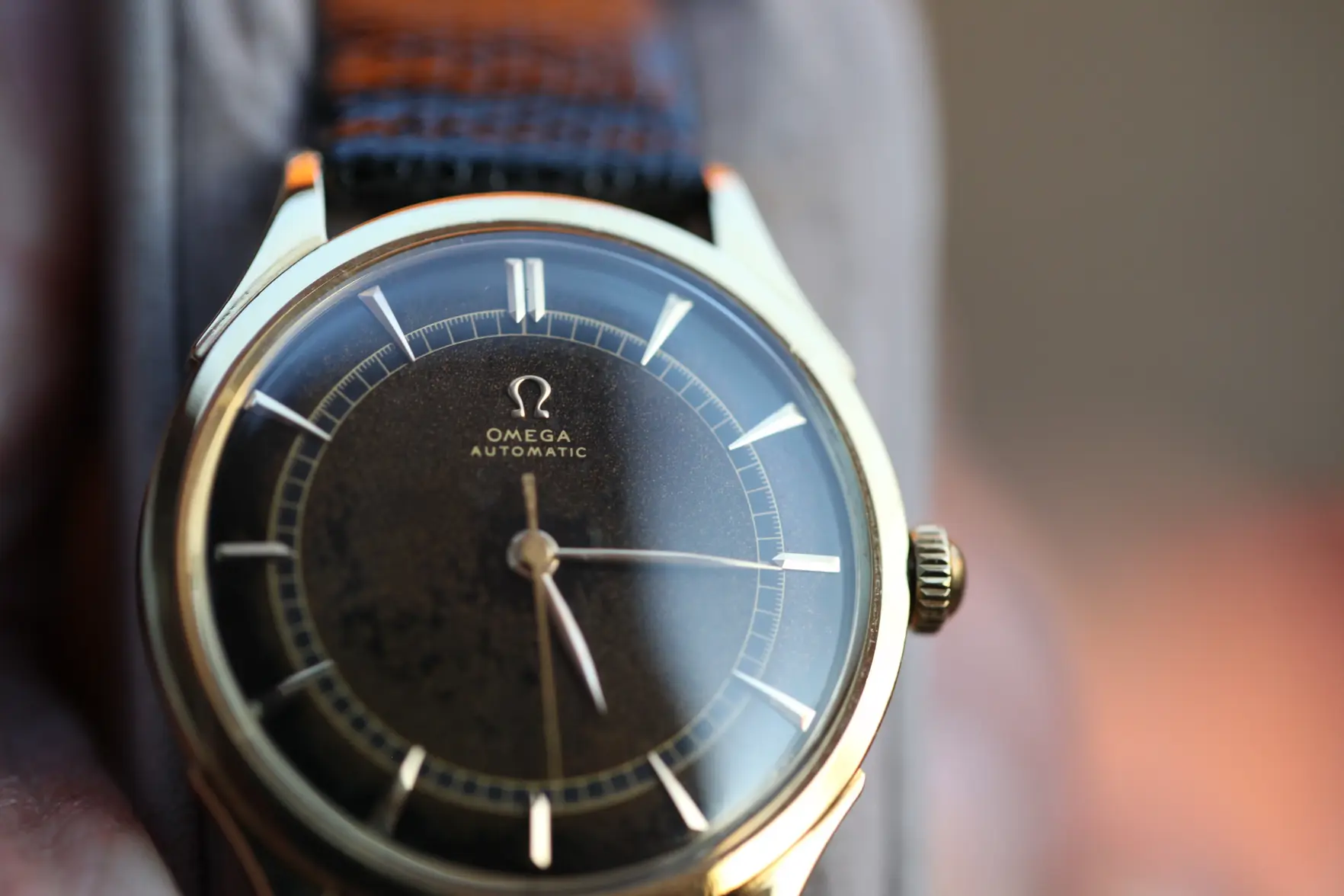 IMG_8345.webp IMG_8345.webp