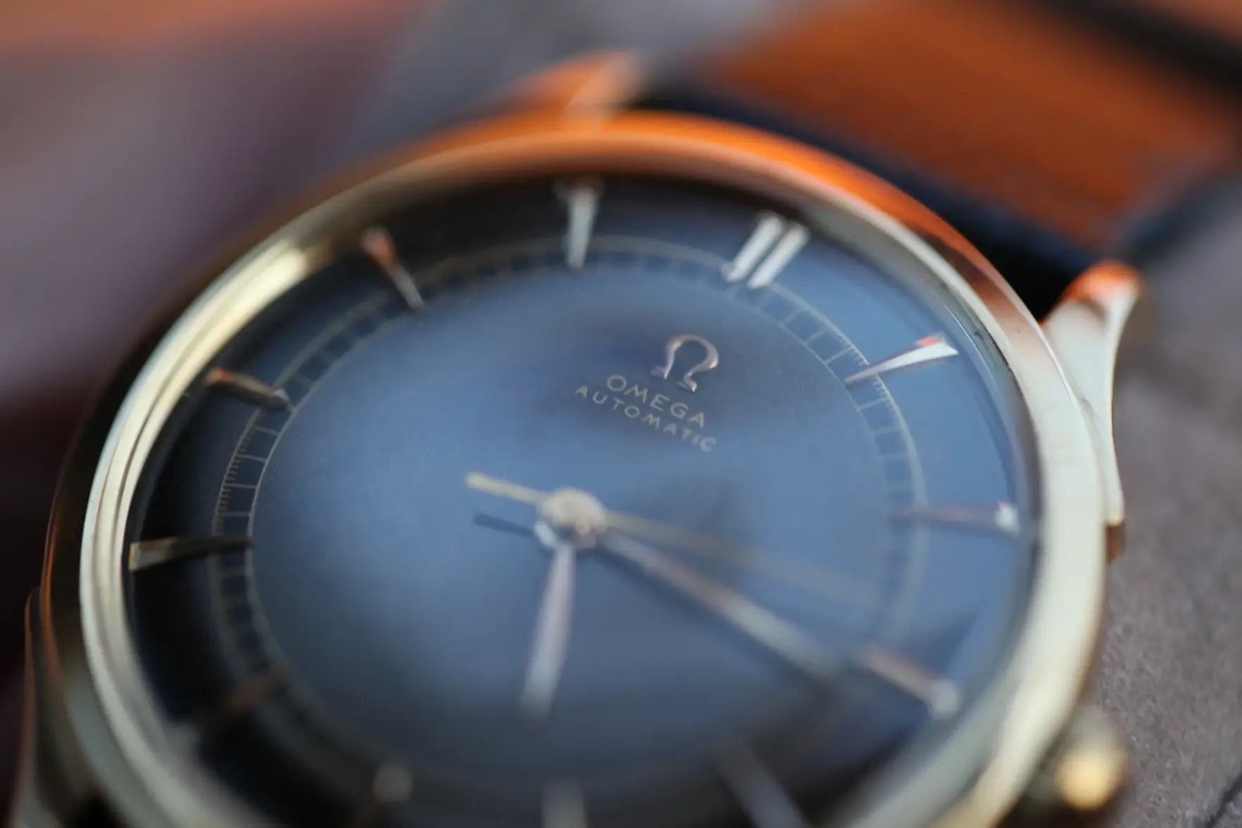 IMG_8355.webp IMG_8355.webp