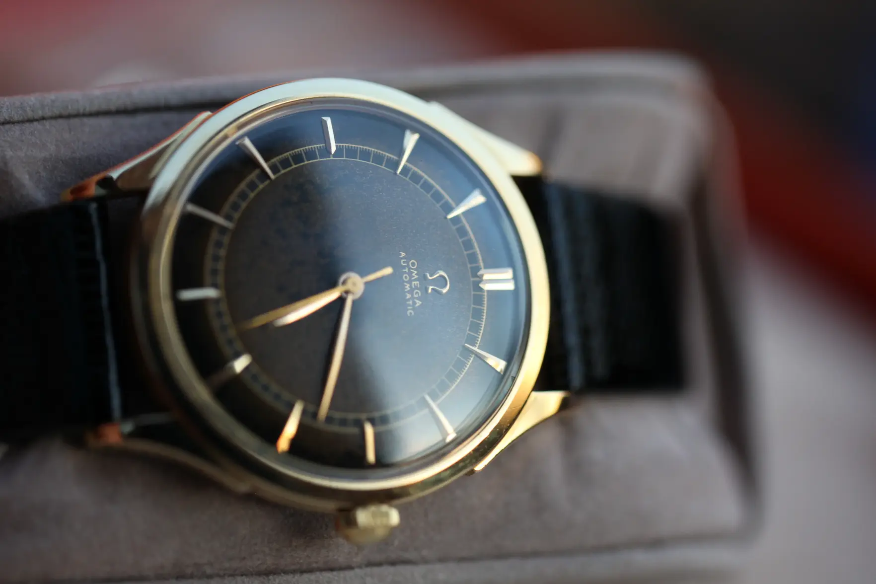 IMG_8362.webp IMG_8362.webp