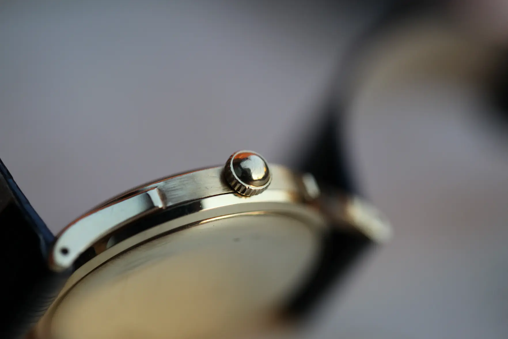 IMG_8365.webp IMG_8365.webp