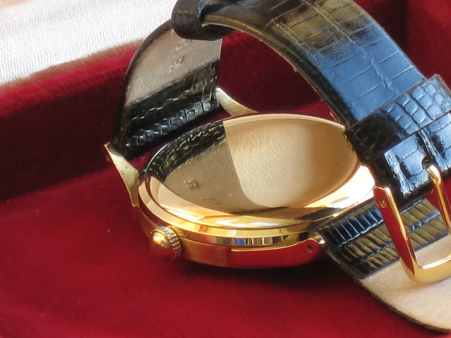 IMG_7258.webp IMG_7258.webp