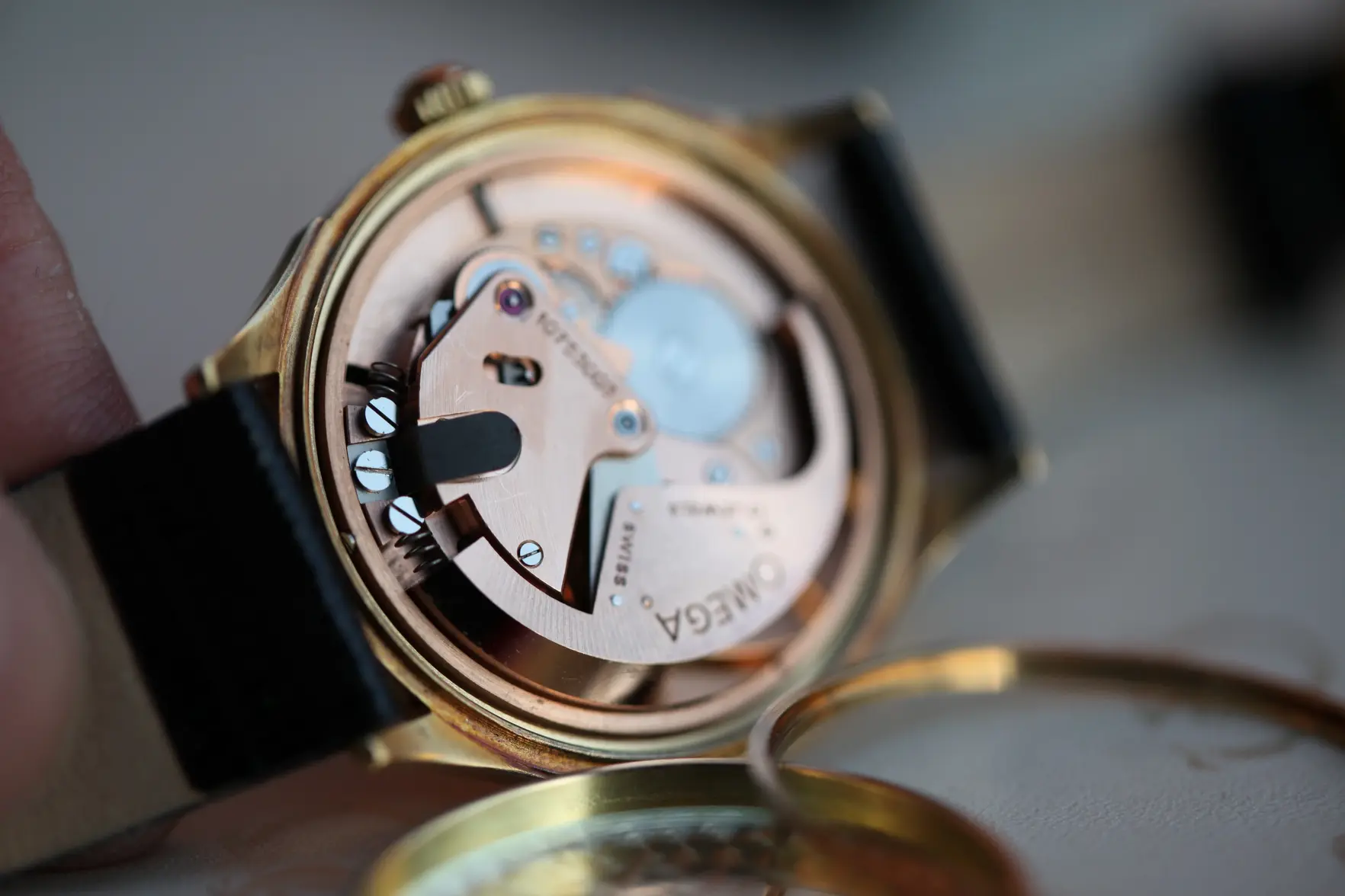 IMG_8374.webp IMG_8374.webp