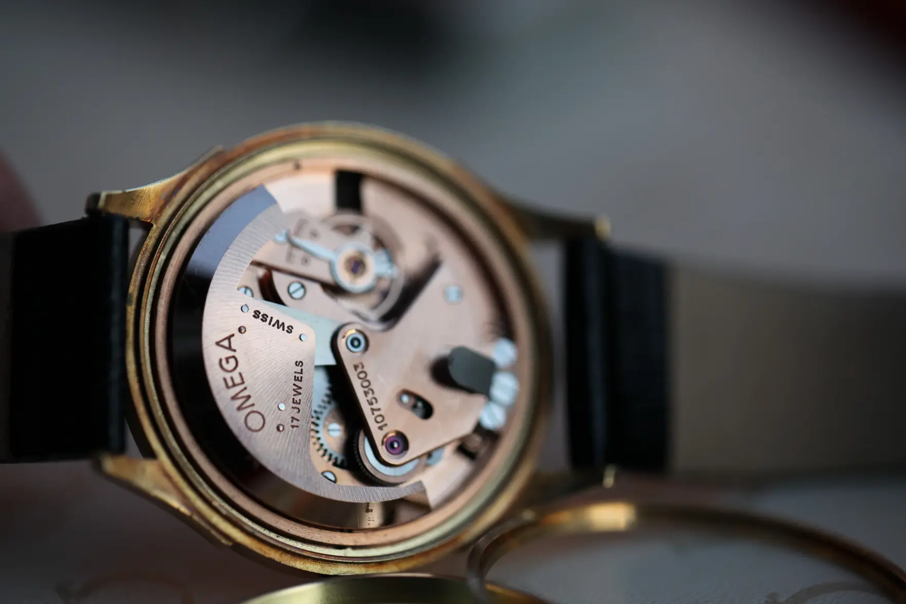 IMG_8375.webp IMG_8375.webp