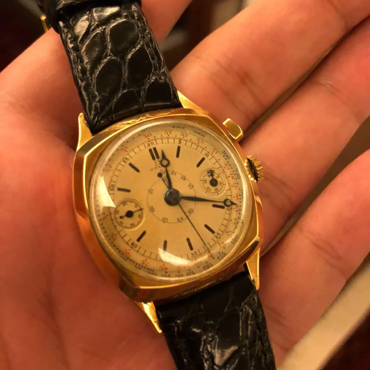 WhatsApp Image 2026-03-16 at 14.55.22 (2).webp