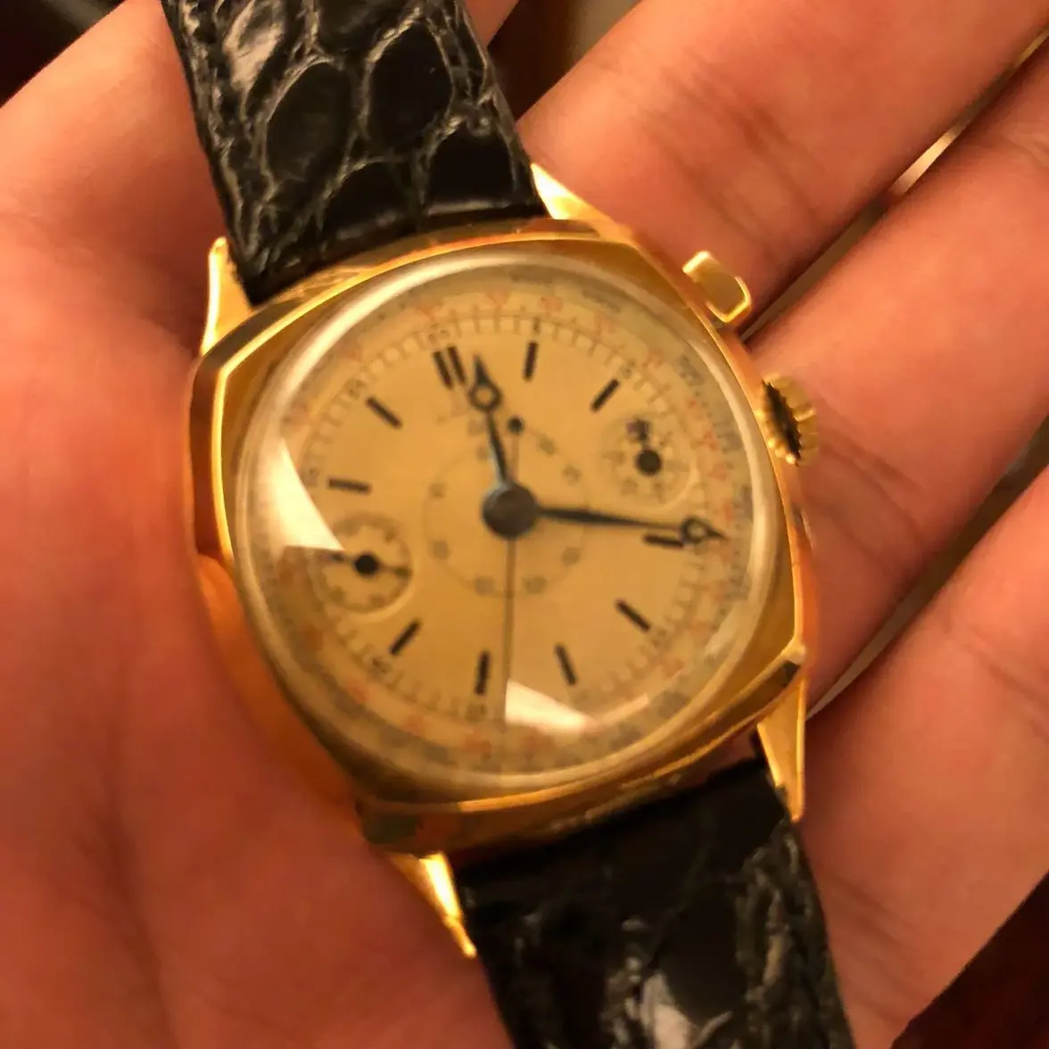 WhatsApp Image 2026-03-16 at 14.55.22.webp