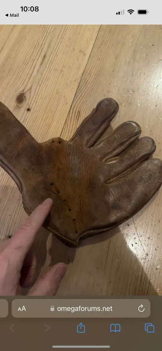 IMG_4310.webp