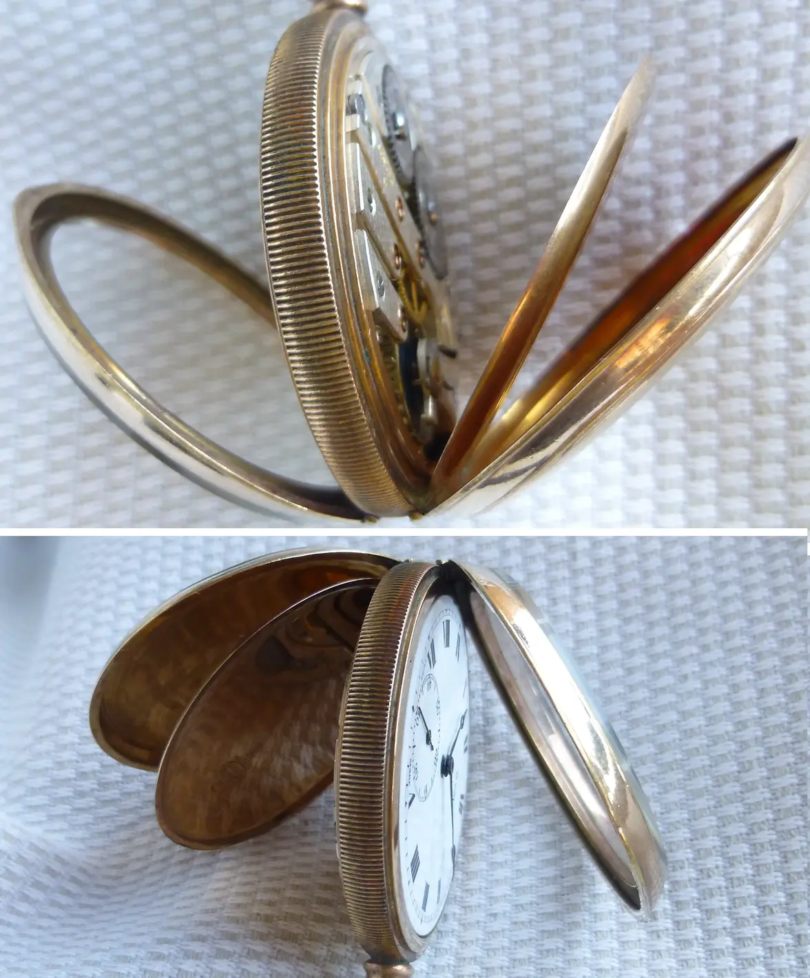 cyma tasca 2 (8).webp