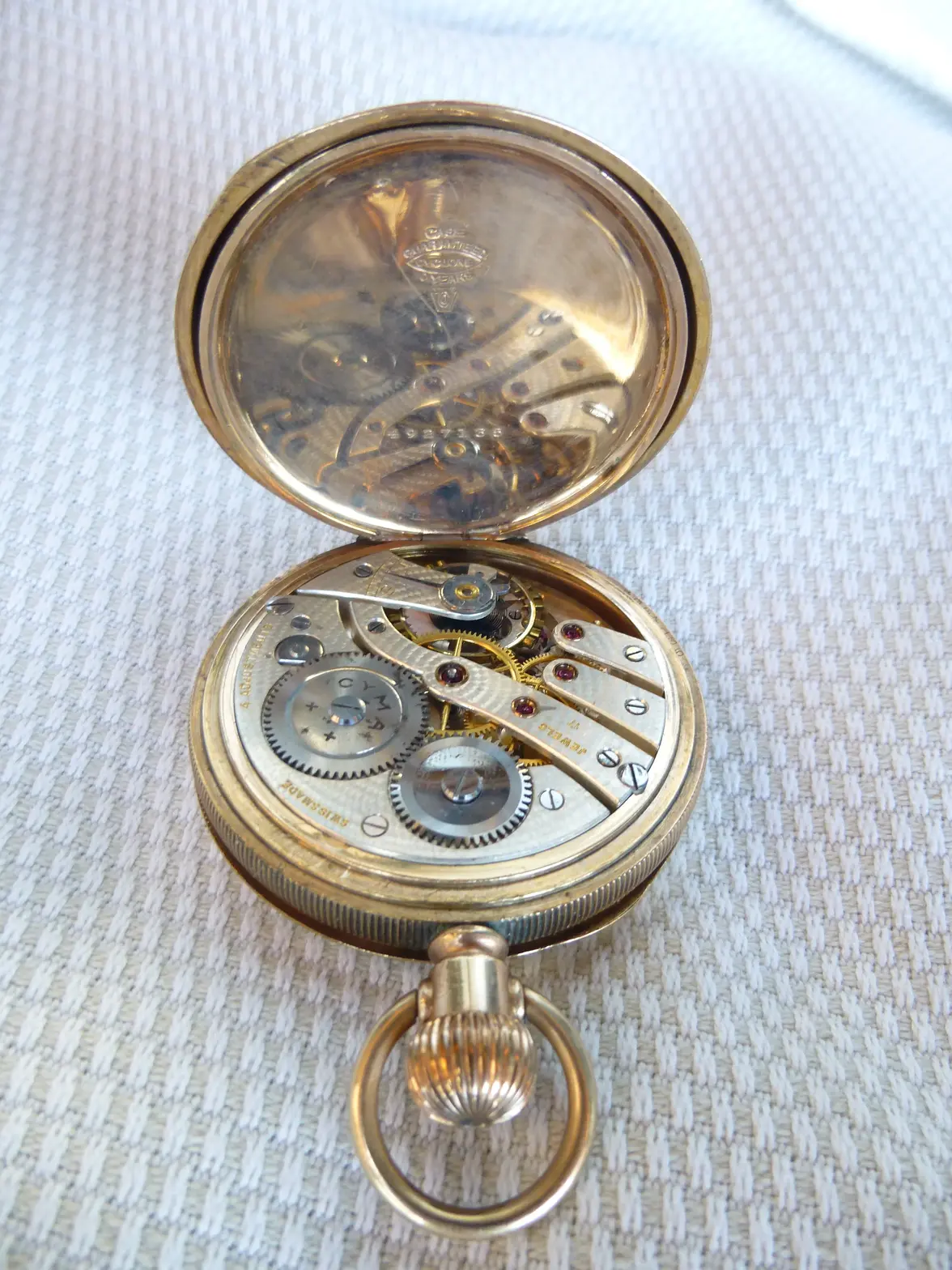 cyma tasca 2 (9).webp