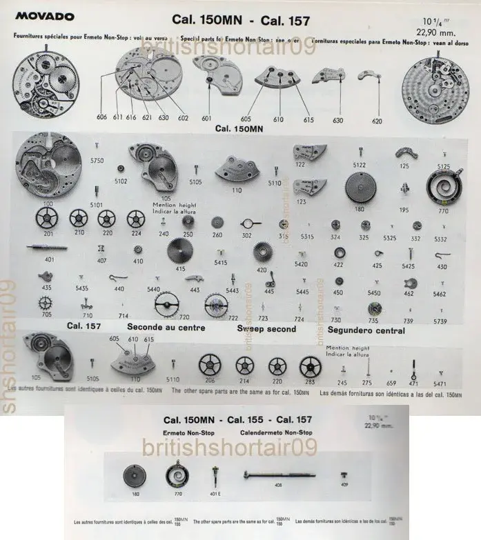 movado acvatic (11bis).webp
