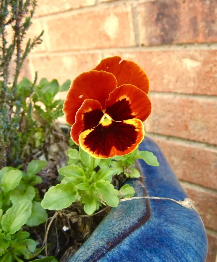 IMG_7088.webp