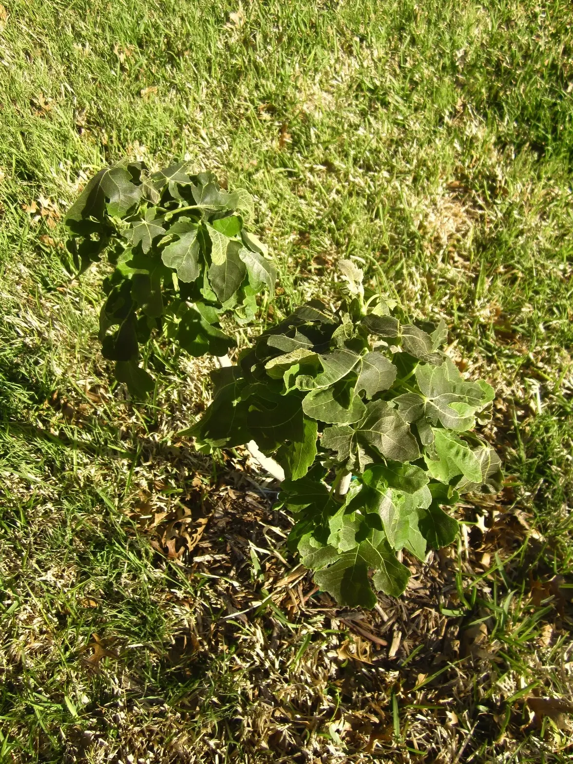 IMG_7084 2.webp