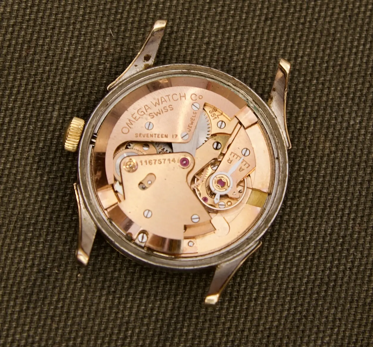 Cal 351 movement 2.webp