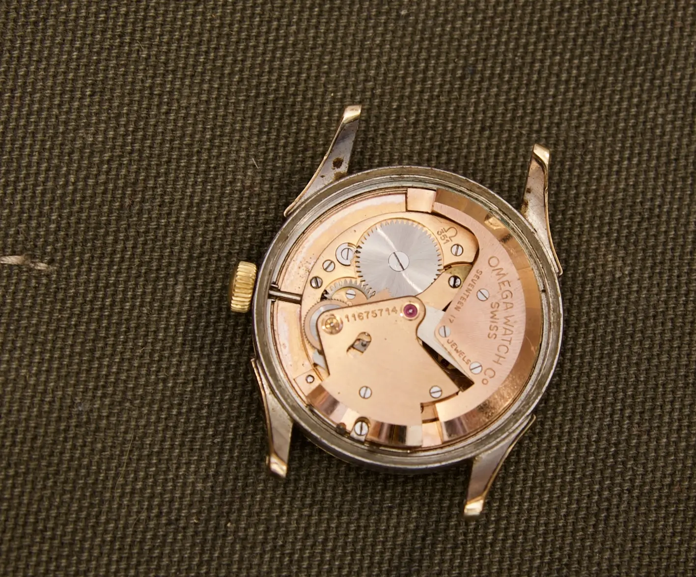 Cal 351 movement.webp