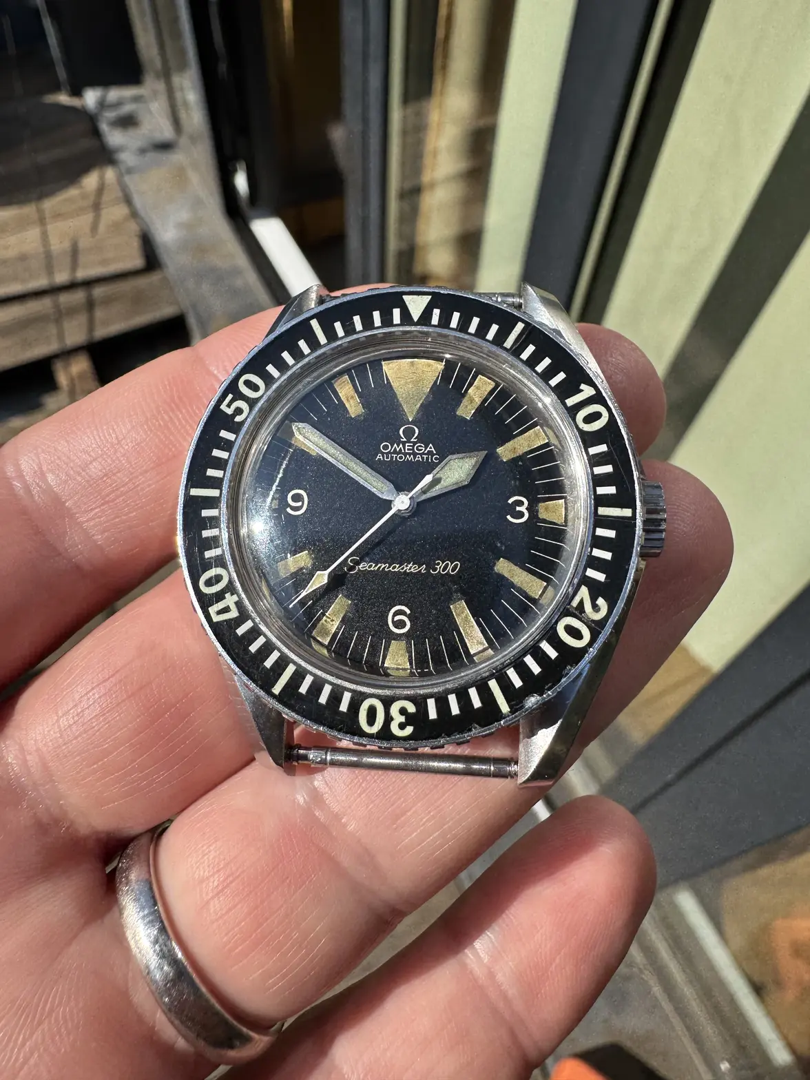 IMG_0390.webp IMG_0390.webp