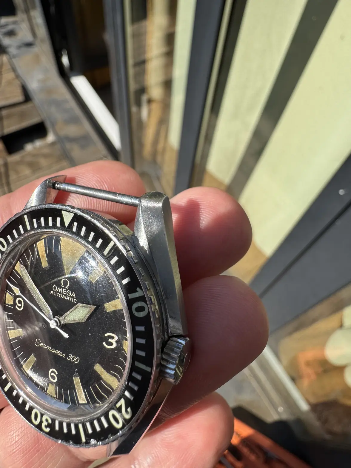 IMG_0393.webp IMG_0393.webp