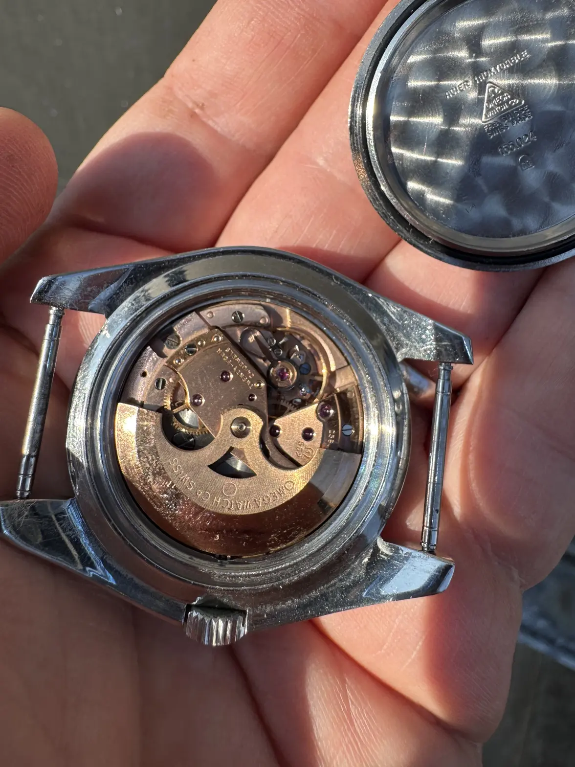 IMG_0399.webp IMG_0399.webp